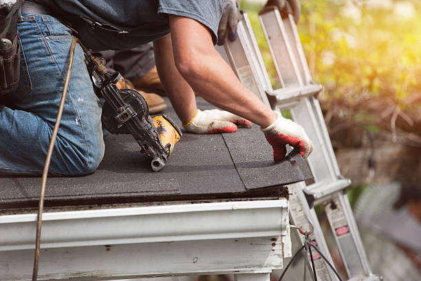 Roof Waterproofing Services in Newport, WA
